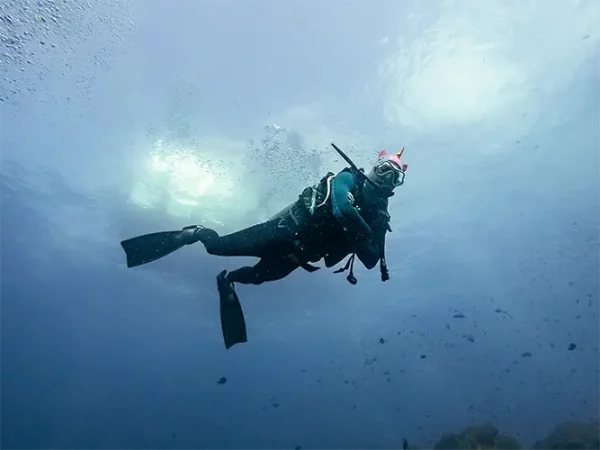 Fun diving trip with a diver wearing unicorn headgear