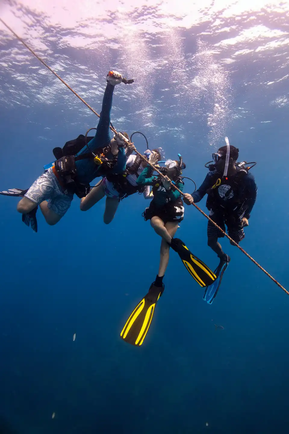 Group of divers at the buoy line