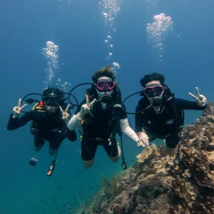 Group of divers diving with Nava Scuba Diving