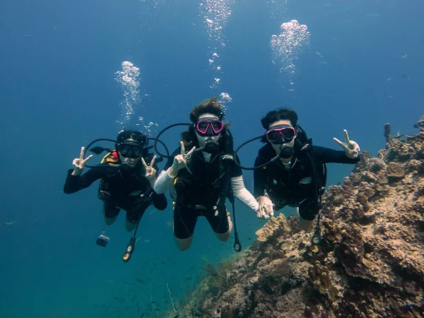 Group of divers diving with Nava Scuba Diving