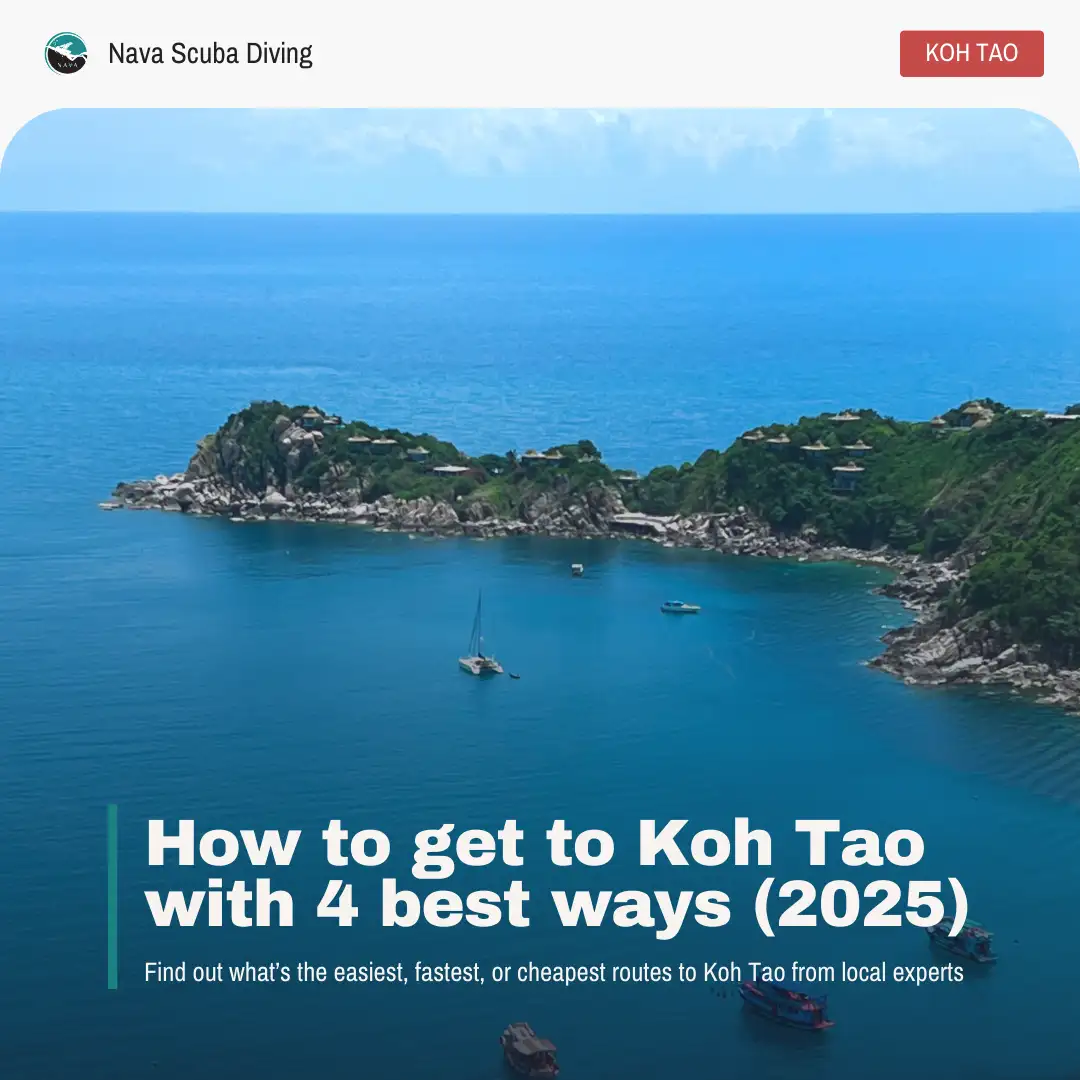 Get to Koh Tao 2025