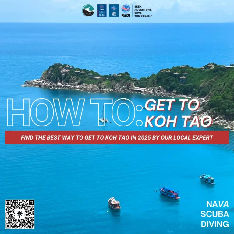 Get to Koh Tao