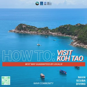 Featured photo on 4 best ways on how to get to Koh Tao (2023 version)