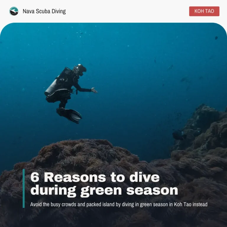 6 reasons to dive during green season in koh tao