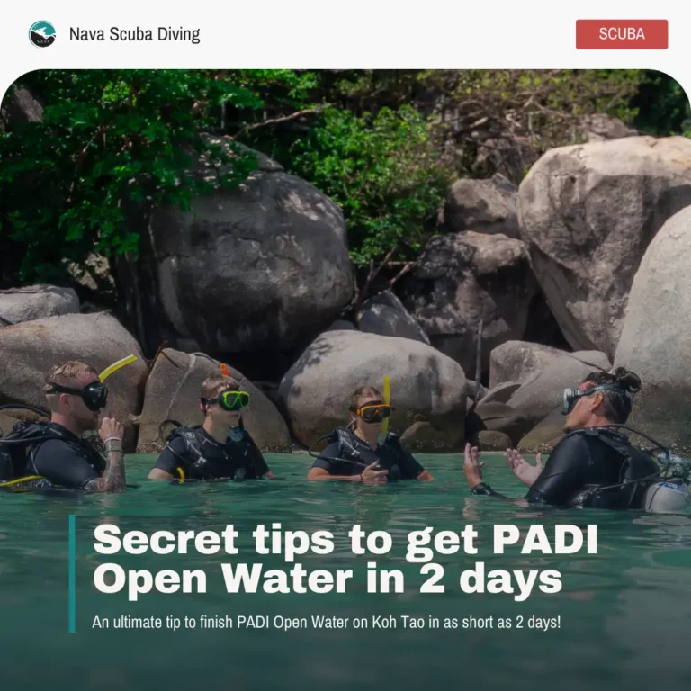Secret tip to complete PADI Open Water in 2 days