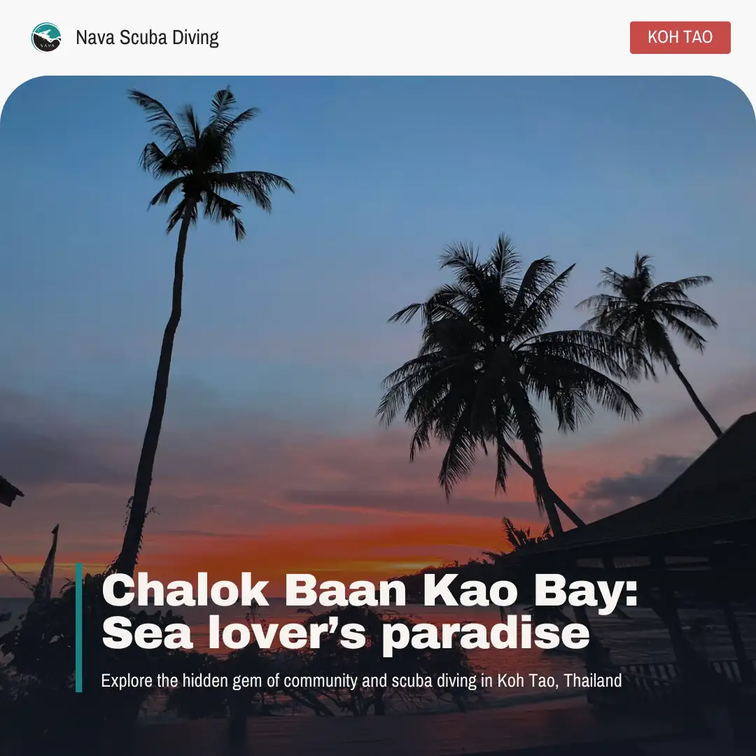 Chalok baan kao bay is a sea lover paradise