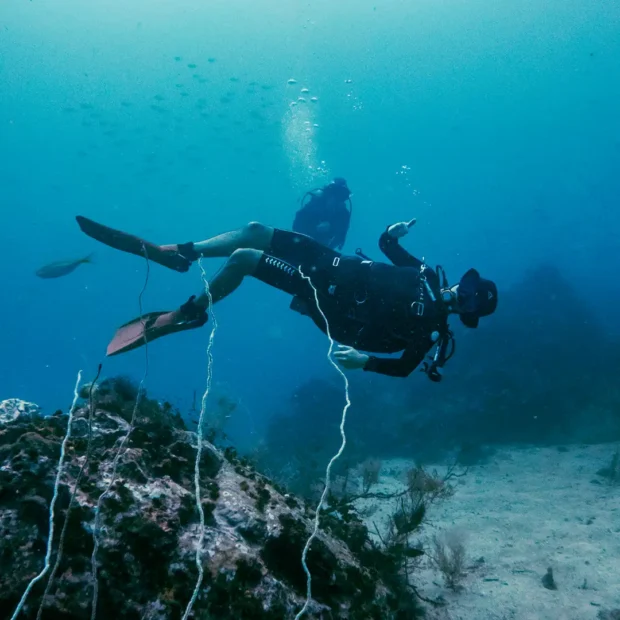 PADI Deep Diver Specialty – exploring new 40m depth - Image 2