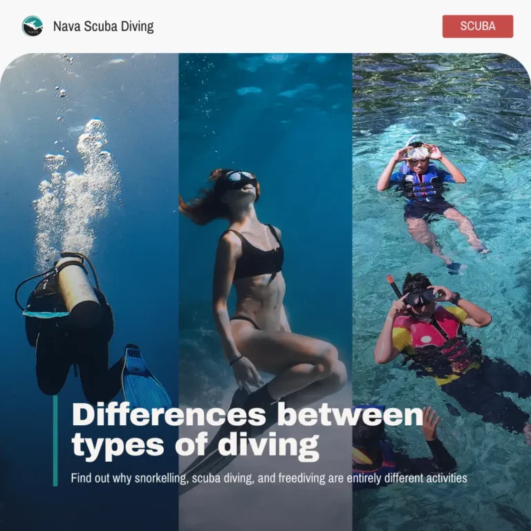 Differences between types of diving