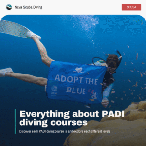 padi diving courses