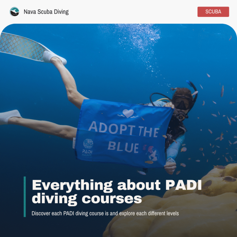 padi diving courses