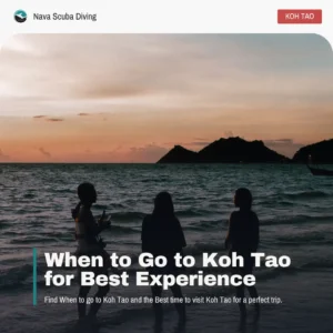 WhenToGoToKohTao