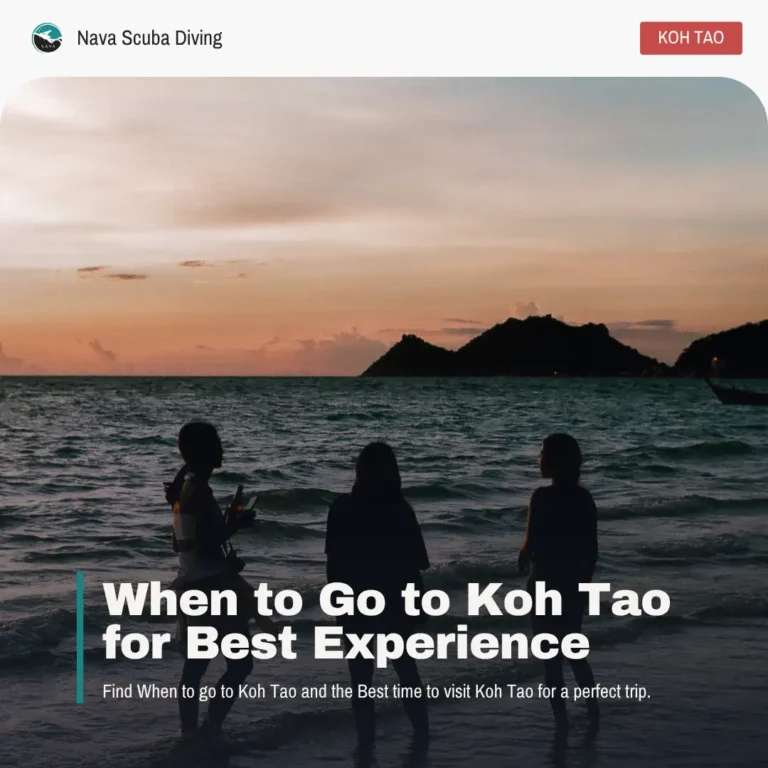 WhenToGoToKohTao