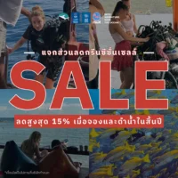 Nava Diving Course Koh Tao Green Season Sale