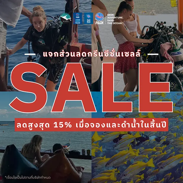 Nava Diving Course Koh Tao Green Season Sale