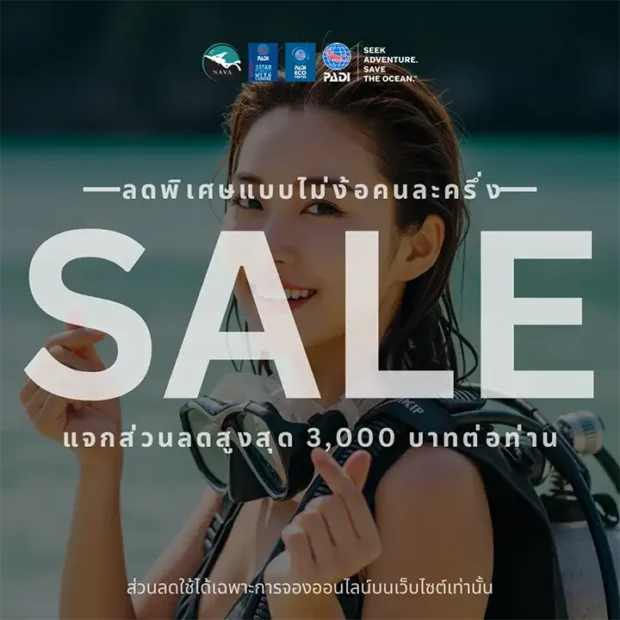 PADI diving courses Koh Tao Sales - Nava Scuba Diving