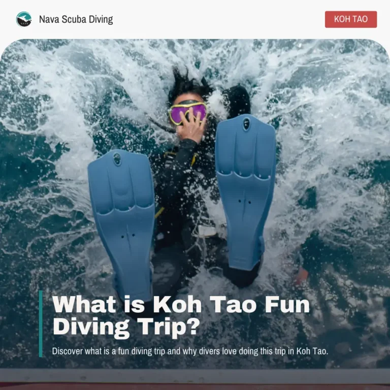 Fun_Diving_Trip_Koh_Tao