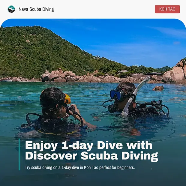 ดำน้ำ 1 วันกับ DSD