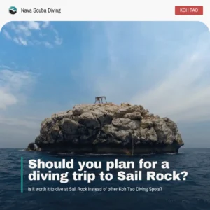 2512 sailrock or other koh tao dive spot