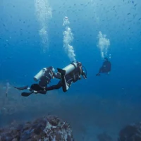 PADI Scuba Diver diving with PADI certified guide