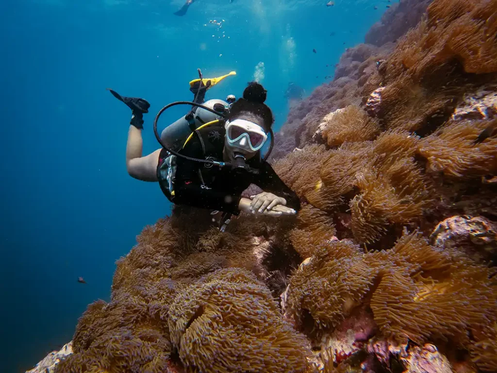 A diver on top of southwest pinnacle after exploring how to get scuba certified on Koh Tao