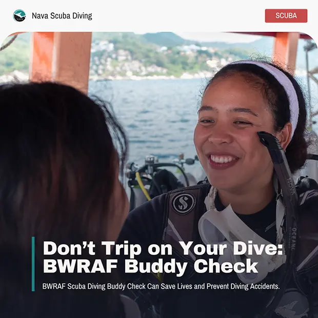 Scuba Diving Buddy Check at Nava Scuba Diving