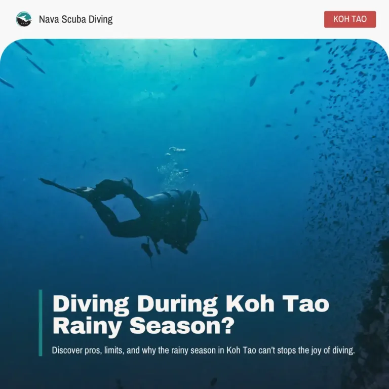 koh tao rainy season. Monsoon diving blog header