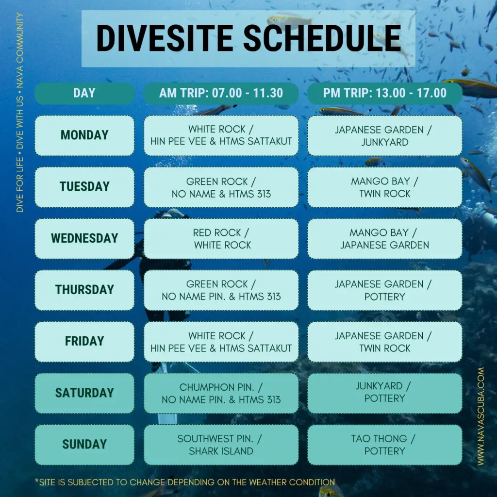 Nava Koh Tao Divesite Schedule 2026
