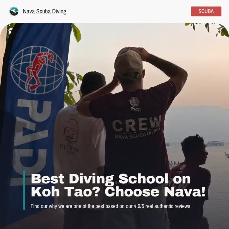 Which is the best scuba diving school in Koh Tao?